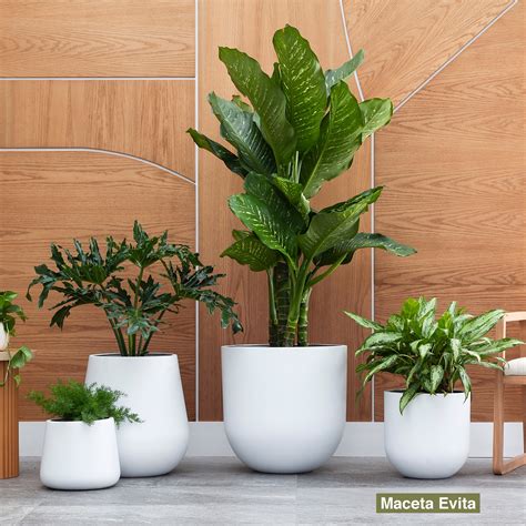 macetas grandes decorativas decoracion hogar piba design