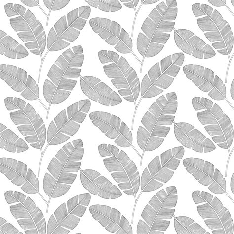 Banana Tree by Caselio - Mono - Wallpaper : Wallpaper Direct