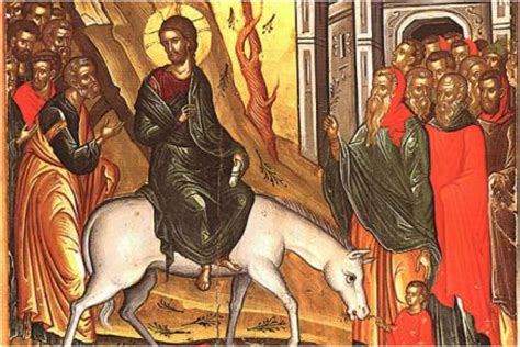 Данас су Цвијети | Infobirač