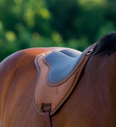 Askhq Is A Horse Smarter Than A Dog