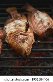 Grilled Mojarra Fish Family Dinner Stock Photo 1951584406 | Shutterstock