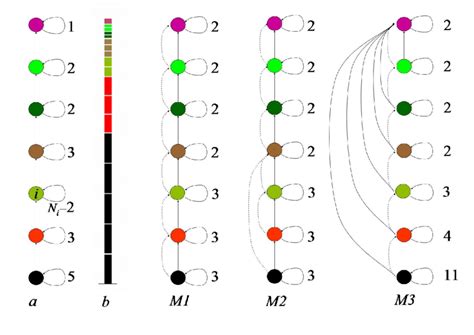 Differentiation graphs used for defining theoretical plants. a) The ...