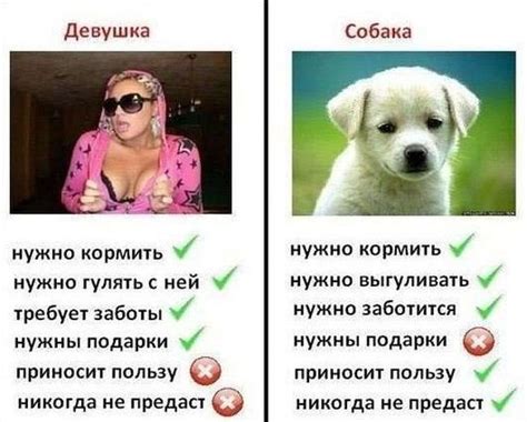 Отличный юмор в картинках и фото (46 шт)