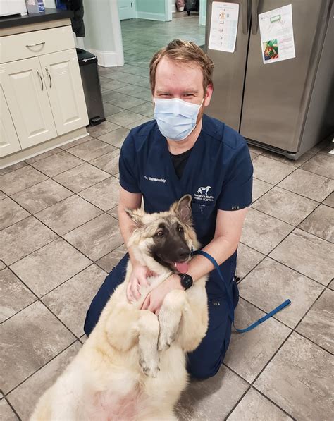 hemlock animal hospital 1