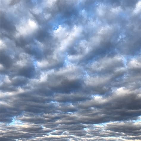 Stratocumulus Crepuscular