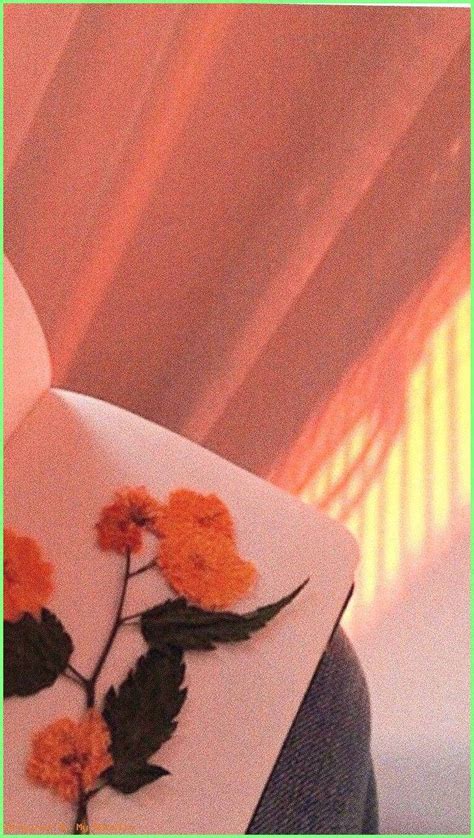 Download Pastel Orange Aesthetic Flowers Wallpaper | Wallpapers.com