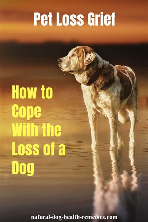 Pet Loss Grief - How to Deal With Loss of Your Pet