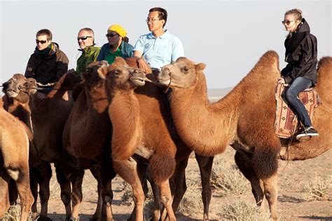 Juulchin Tourism Corporation (2025) - All You Need to Know BEFORE You ...