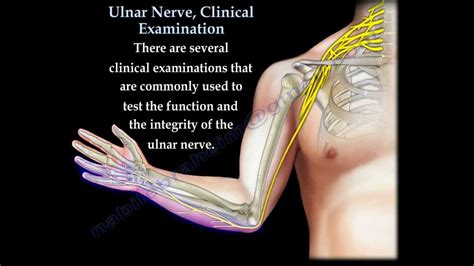 Ulnar Nerve, Clinical Examination - Everything You Need To Know - Dr ...