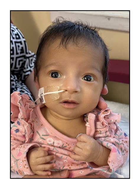 Using the anderson county inmate list helps families stay connected daily