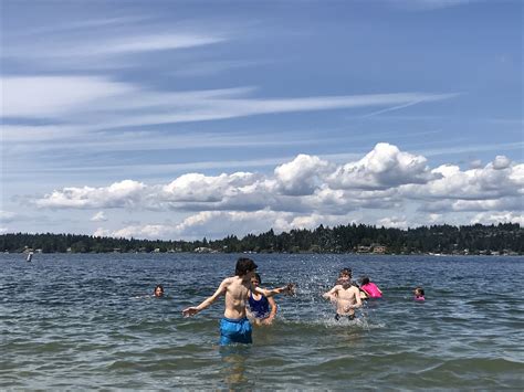 Lake Washington Restoration on Mercer Island — Heidi Rose Watters