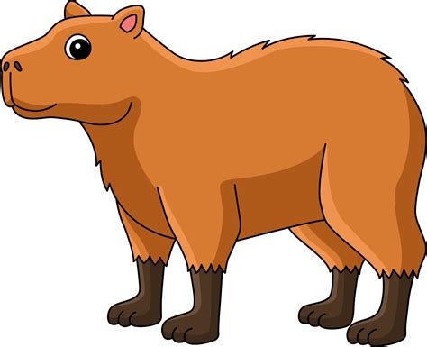 Capivara Desenho Animado - capivara animal desenho animado colori clipart 19977870 Vetor no Vecteezy