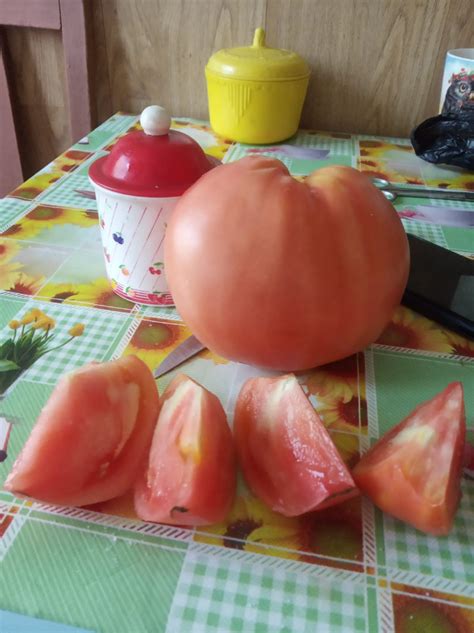 Томат Андреевский сюрприз: описание сорта, ОТЗЫВЫ (23), фото | tomatland.ru