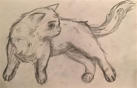 Cat sketch | Warrior Cats