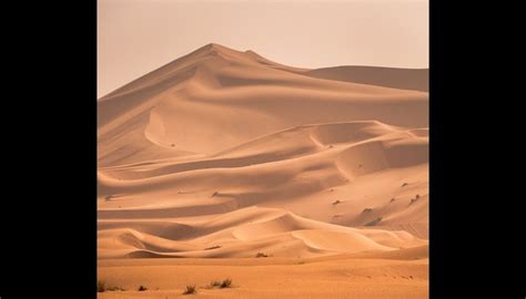 The Desert | GameDev Market