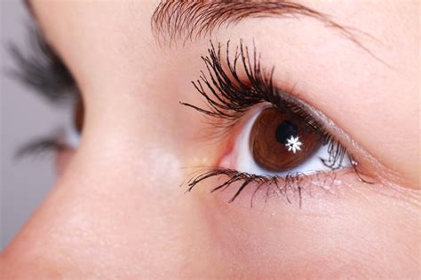 10 Best Italian Makeup Brands - Italy Travel Guide