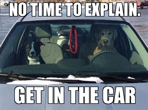 These 16 Wholesome Memes Nail What It’s Like to Drive Today – eTags ...