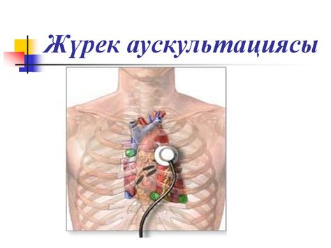 Науқас адамдарға аускультация жасау - презентация онлайн