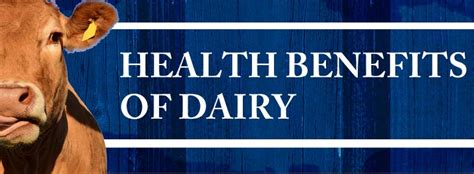 Health Benefits of Dairy [Infographic]