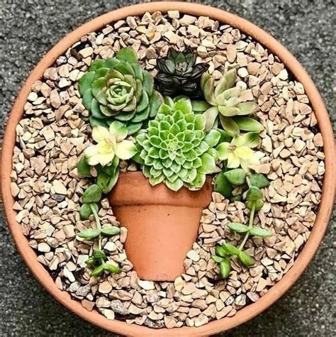 Картины из суккулентов