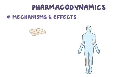 Pharmacodynamics: Agonist, partial agonist and antagonist - Osmosis