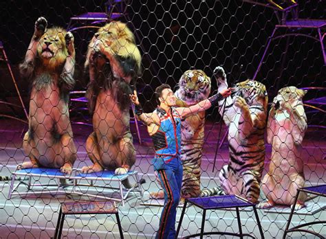 video  final ringling bros circus performance  gothamist