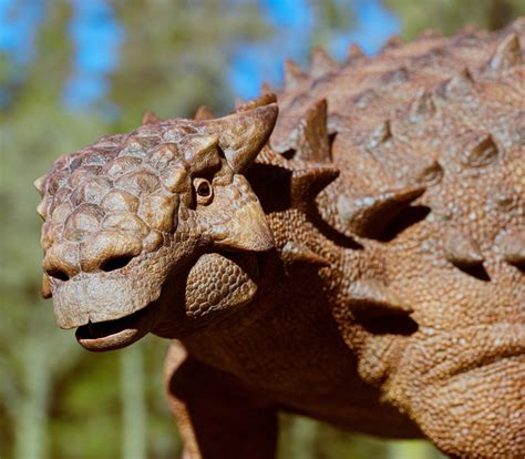 Cafnir's Paleo Blog