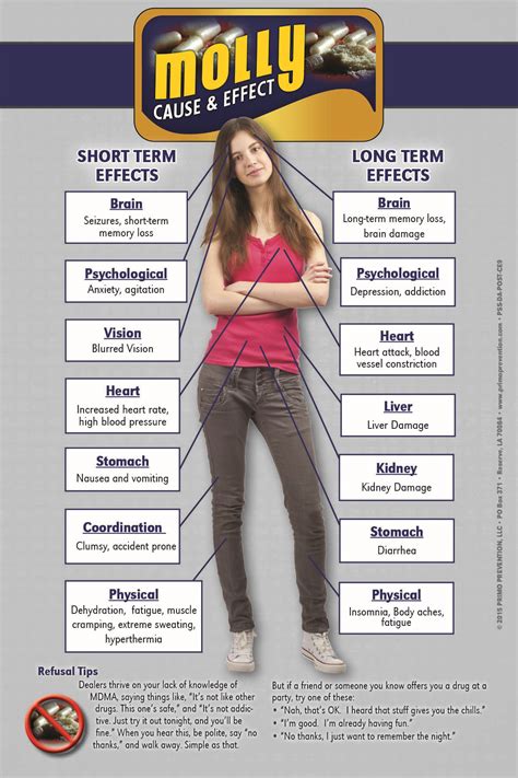 Molly Cause & Effect Mini Poster - Primo Prevention