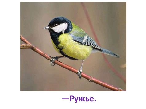 Диалог – это разговор двух и более лиц - презентация онлайн