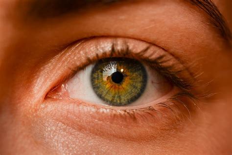 Your Options With Green Color Contacts For Brown Eyes – Figure 8