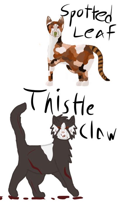 Spottedleaf and Thistleclaw by Risewing-3 on DeviantArt