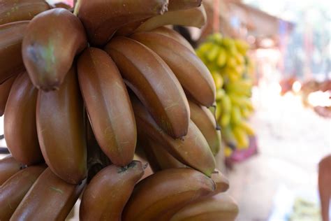 How the World's Original Banana Went Extinct