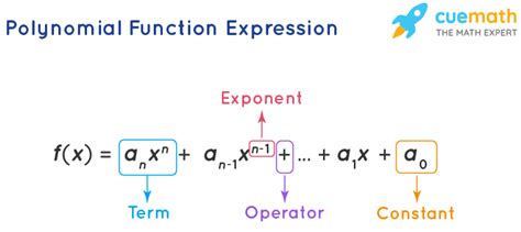 Polynomial Function - Graph, Definition, Formulas, Types