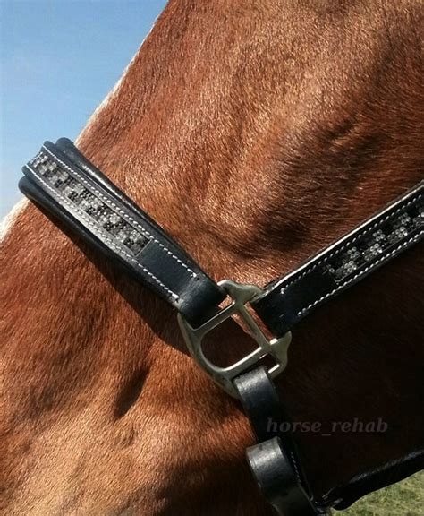 Кожаный недоуздок Heinick Gaucho для лошади | Horse-Rehab.Ru