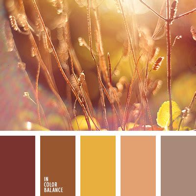 оранжево-персиковый цвет | IN COLOR BALANCE