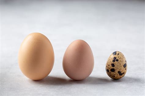14 Egg Substitute Ingredients - LemonsforLulu.com