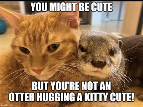 Cuddly friends - Imgflip