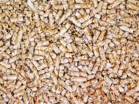 outdoor pellet texture  stock video  vecteezy