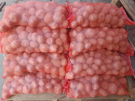 veggies easy to digest 7