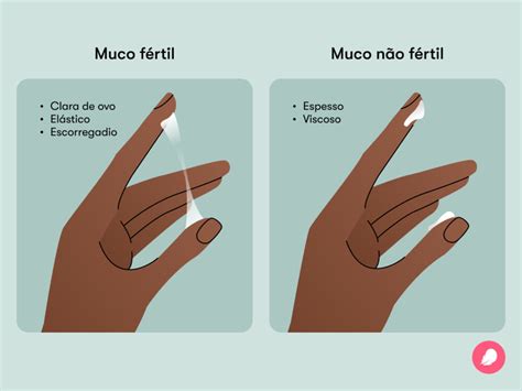 Muco Cervical O Que É - Muco Cervical: O Que É E Como Muda Ao Longo Do Ciclo – IQFDW