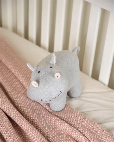 Pippo the Hippo