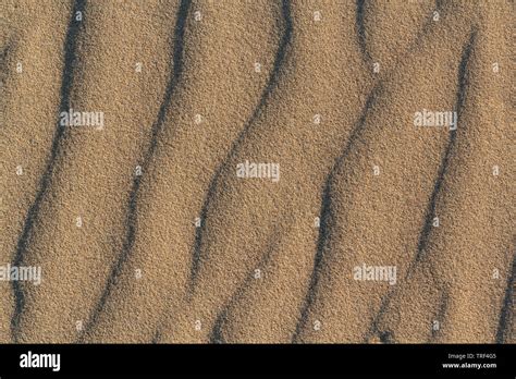 beach sand texture  background top view stock photo alamy