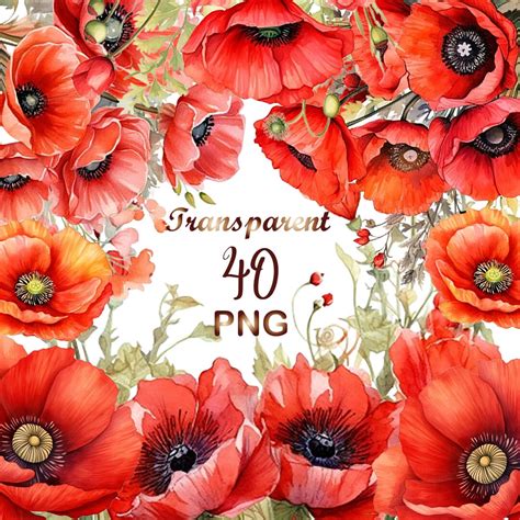 40 Watercolor California Poppy сlipart PNG, Floral Wreath, Floral ...