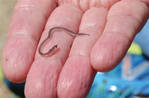 marthas vineyard magazine marthas vineyard magazine