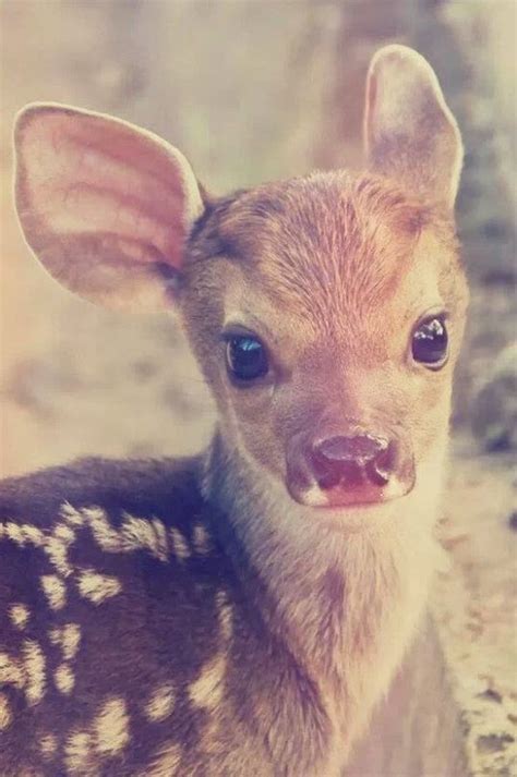 maafergg - Tumblr blog | Tumgik
