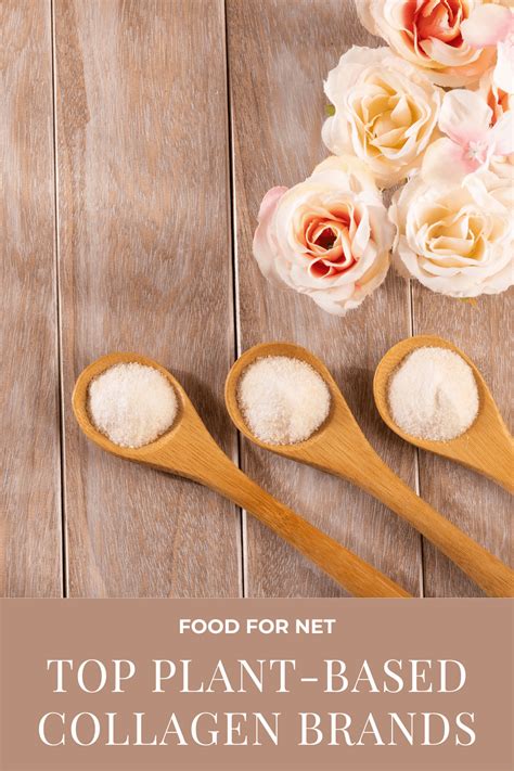 5 Best Plant-Based Collagen Brands | Food For Net