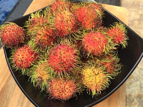 Tropical Fruits of Indonesia — A Journey Bespoke
