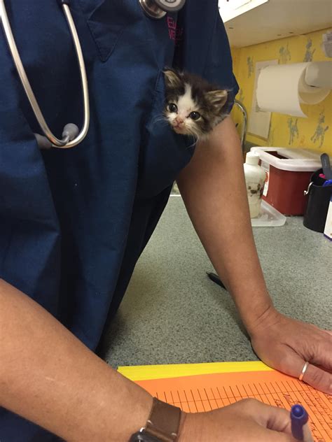 Working at a vet clinic has its perks- like this pocket full of