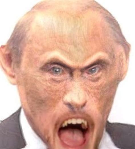 Путин Обезьяна (Monkey Putin) - что за мем и фотожабы