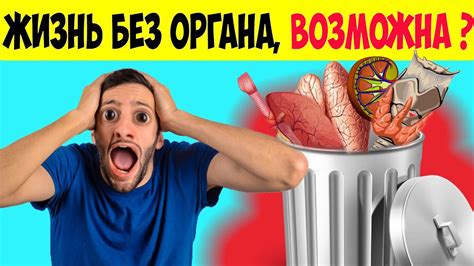 БЕЗ КАКИХ ОРГАНОВ МОЖЕТ ПРОЖИТЬ Человеческий Организм? 7 органов без ...